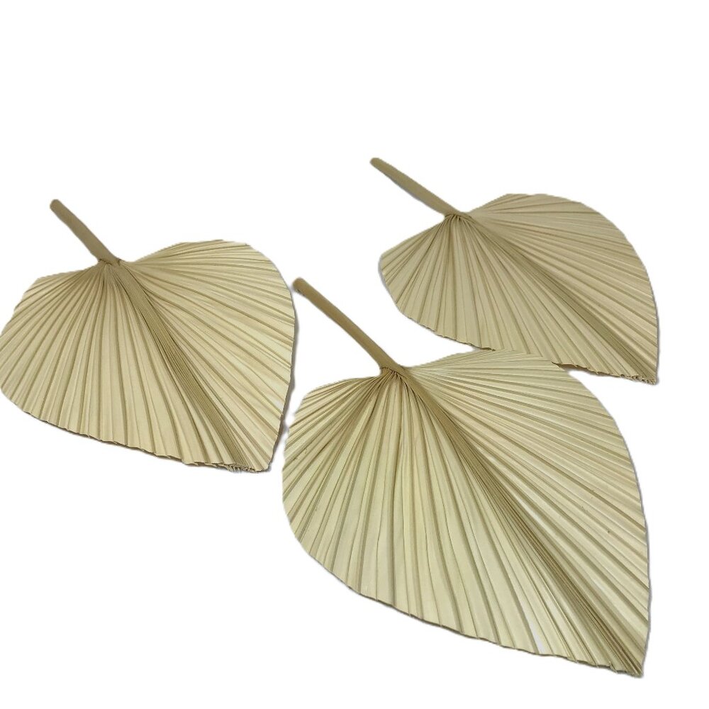 Dried Palm Leaf Spears - Picture 3 of 5